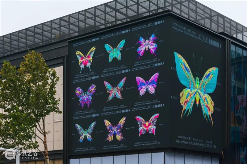 预告｜大悲宇宙虚拟蝴蝶认领活动即将入驻「X·超体都市」！ 崇真艺客