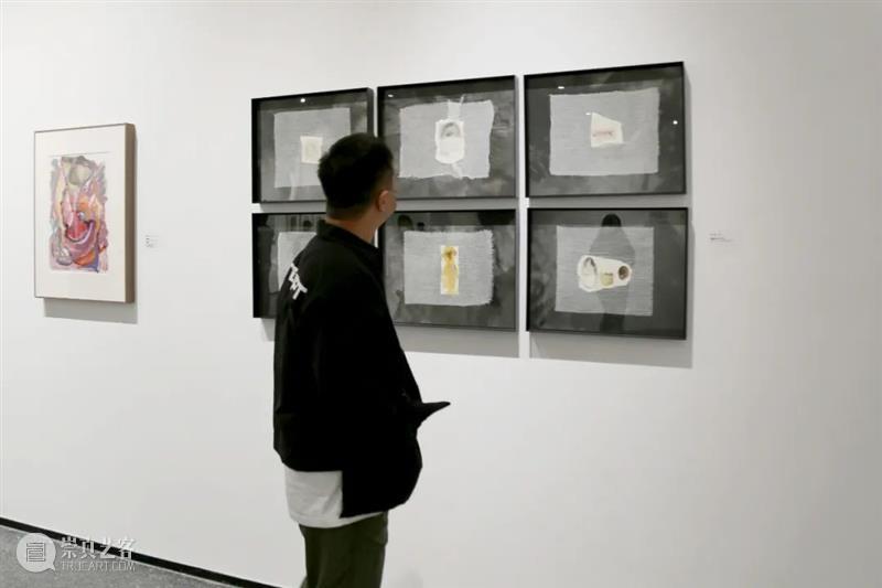 展览开幕|“琥珀生琉璃/荒诞演绎——闫莉、张卓然纸本作品展”开幕 崇真艺客