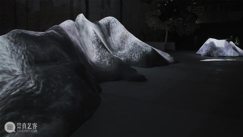 七年之“痒” | 调查局那些年伴随的艺术家们 4 崇真艺客