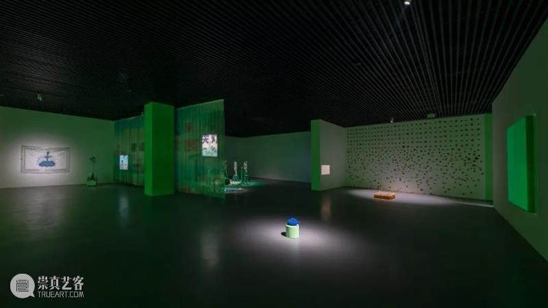 PLM展览 | 不确切的美好生活：应歆珣访谈 崇真艺客