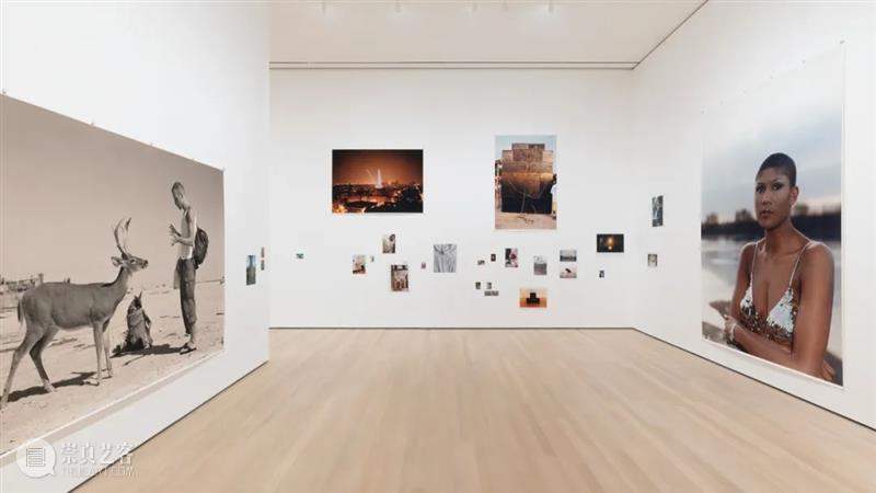 “沃尔夫冈·提尔曼斯：无畏地看”（Wolfgang Tillmans: To Look Without Fear） 崇真艺客