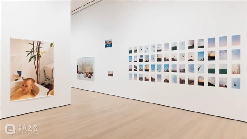 “沃尔夫冈·提尔曼斯：无畏地看”（Wolfgang Tillmans: To Look Without Fear） 崇真艺客