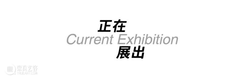 今晚19:00正式开始 | “对影观时”线上公共教育讲座(四)荷兰艺术家实践场 崇真艺客