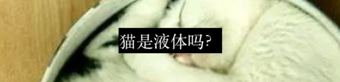 猫咪高处坠落的诡异物理谜题 崇真艺客