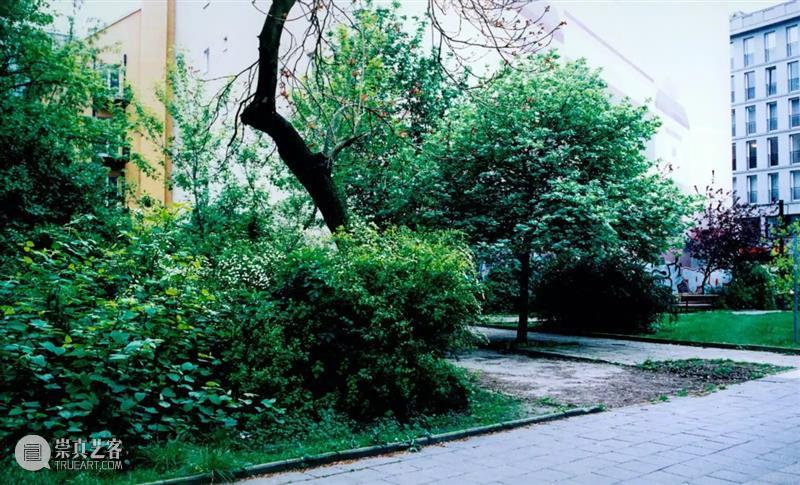 同行/自然界本不稳定 | Tue Greenfort 视频资讯 徐震XuZhen 崇真艺客