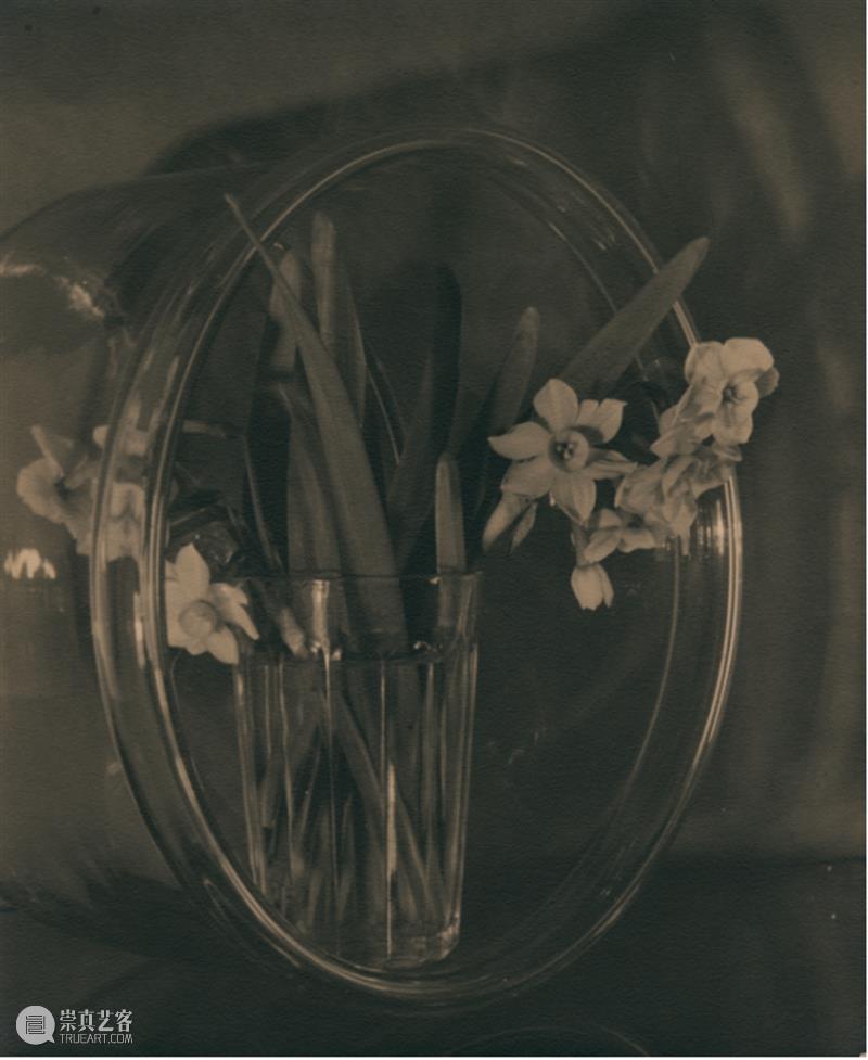 展览聚焦｜张景琠：民国的猫与静物 崇真艺客