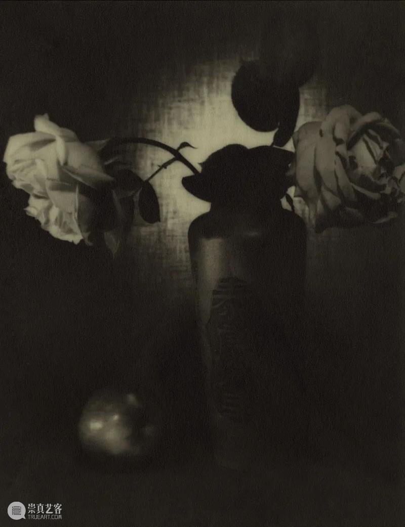 展览聚焦｜张景琠：民国的猫与静物 崇真艺客