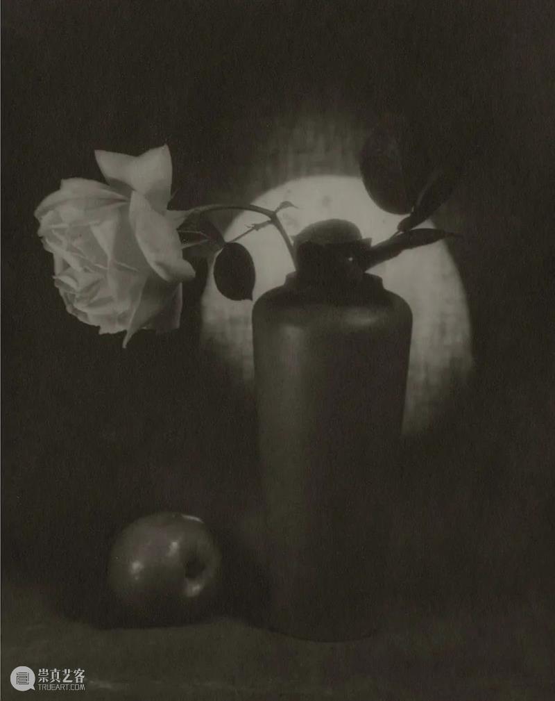 展览聚焦｜张景琠：民国的猫与静物 崇真艺客