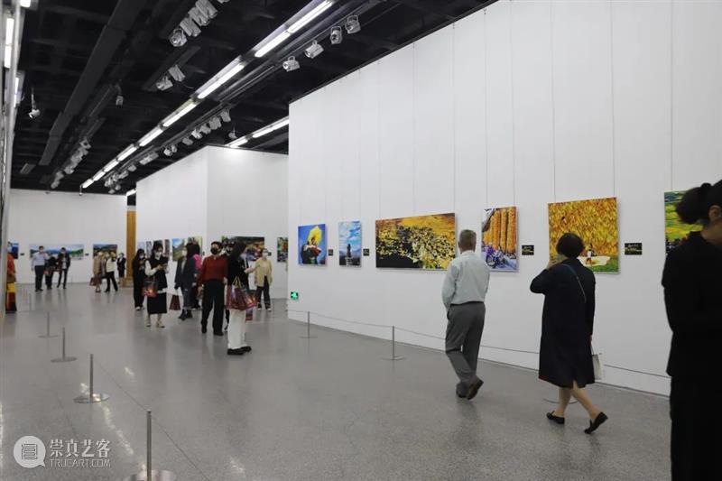 “‘美丽凉山我最爱’摄影书画精品展”圆满落幕 崇真艺客