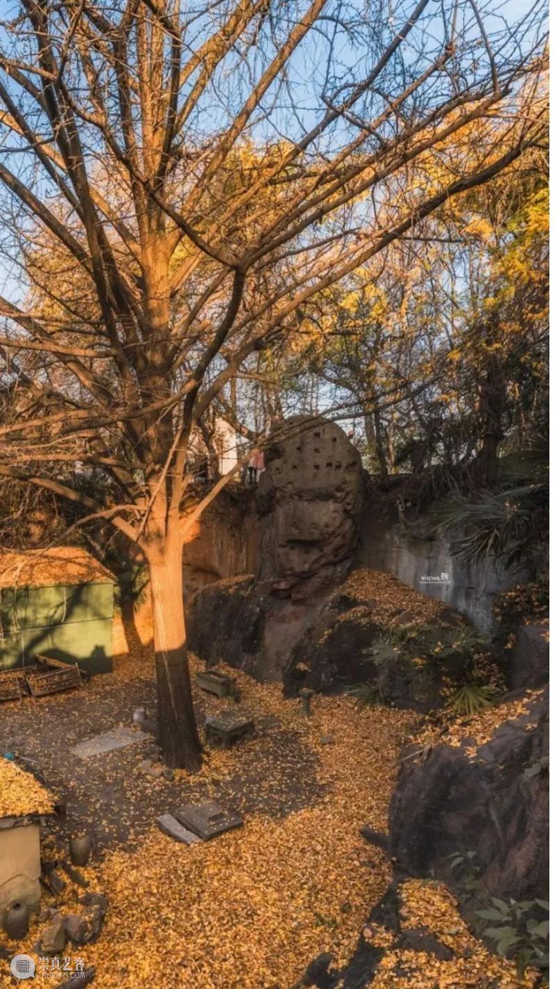 杭州游学丨佛教美术-杭州吴越国佛窟踏查B线（10/28-10/30） 崇真艺客