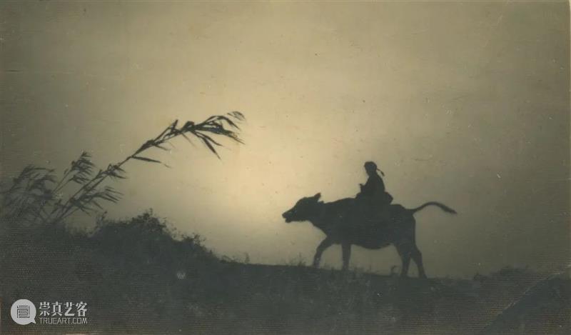 展览聚焦｜江南画意摄影师吴中行 崇真艺客