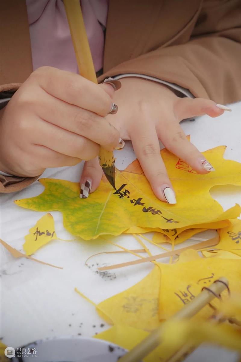 陕西吃饭大学?不,是陕西师范大学! 崇真艺客