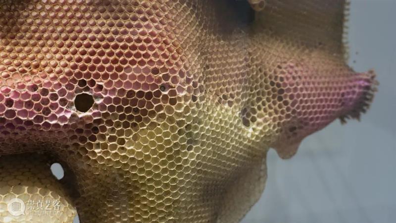 藝術門画廊群展《象由心生》|艺术家眼中自己的创作 崇真艺客