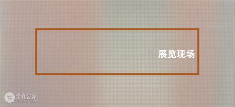 特别活动｜意大利当代艺术日：罗伯特·博西西奥个展 视频资讯 W.ONE SPACE 崇真艺客