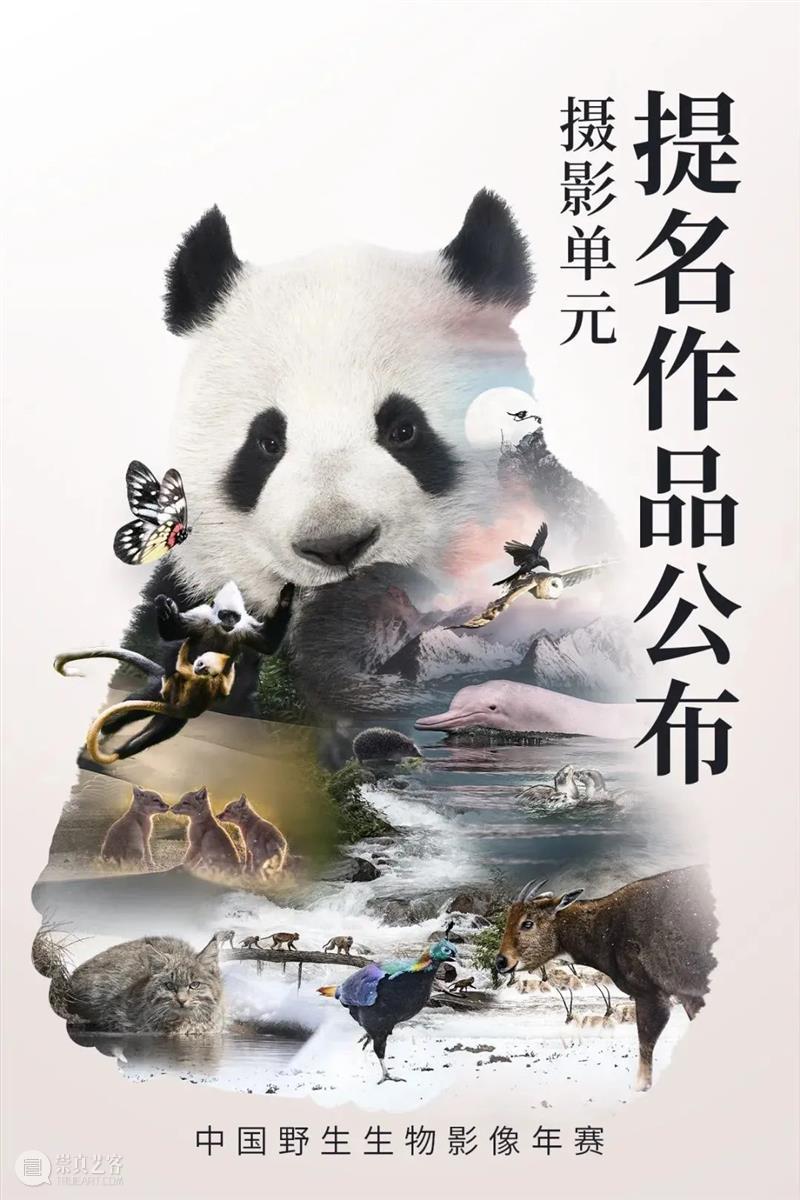 62张野生生物大片，看遍最野性的2022 崇真艺客