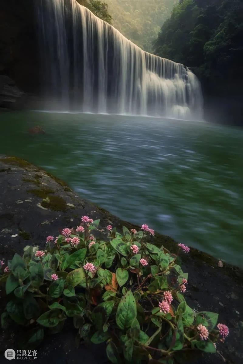 62张野生生物大片，看遍最野性的2022 崇真艺客
