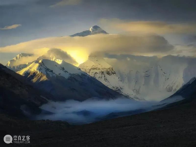 62张野生生物大片，看遍最野性的2022 崇真艺客