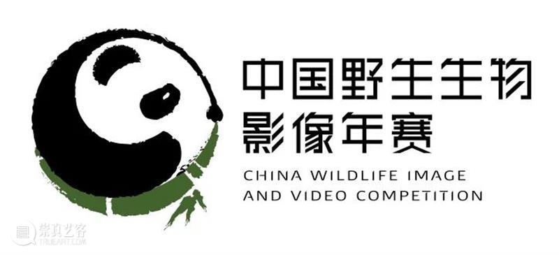 62张野生生物大片，看遍最野性的2022 崇真艺客