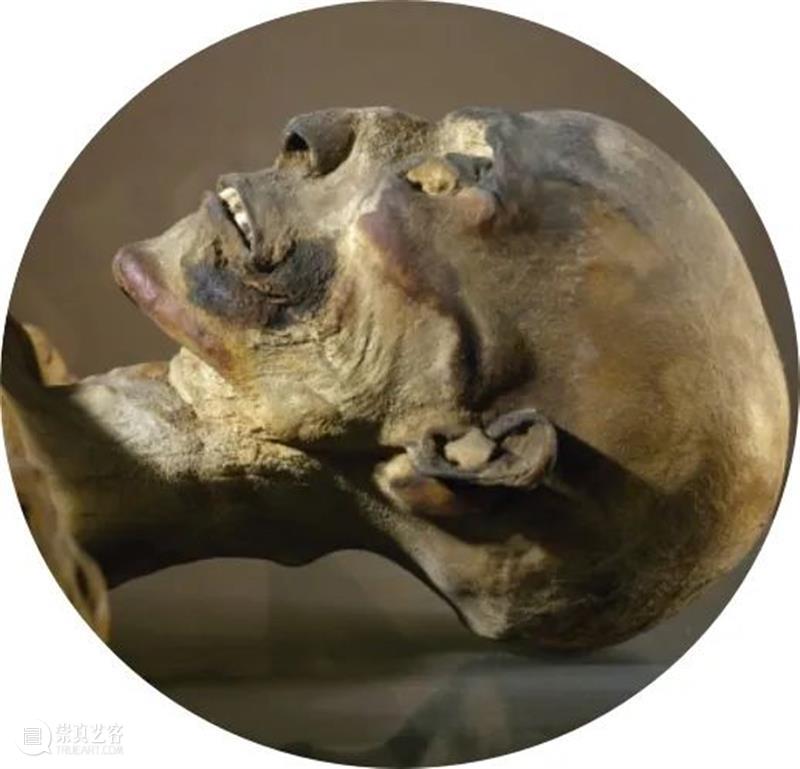 牙疼不是病,牙医也不是医生 崇真艺客