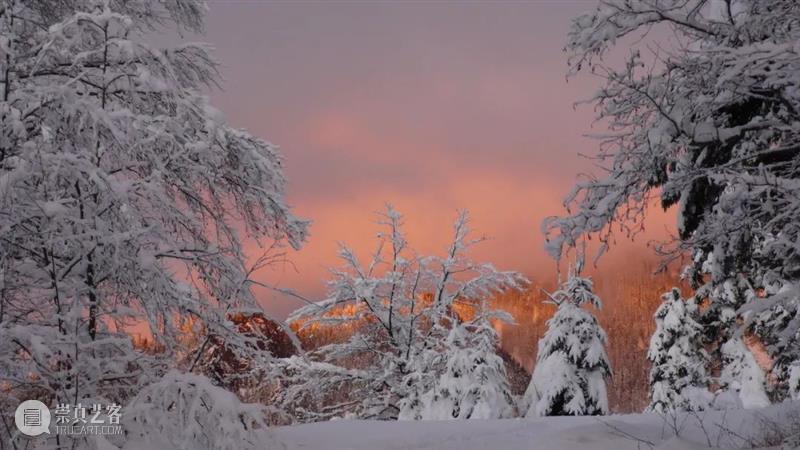 万一专访｜罗伯特·博西西奥：有时我像一头牛 崇真艺客