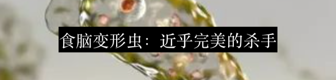 精神控制与僵尸:寄生虫是如何操纵宿主行为的? 崇真艺客