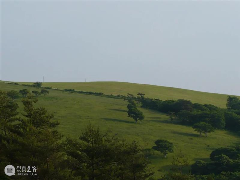 艺术共读·阅读奈良｜宫泽贤治：可以在稻田里找到我 崇真艺客