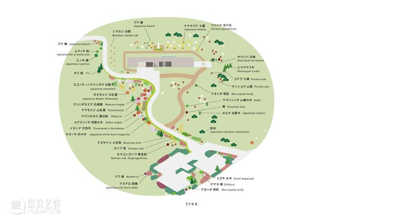 艺术共读·阅读奈良｜宫泽贤治：可以在稻田里找到我 崇真艺客