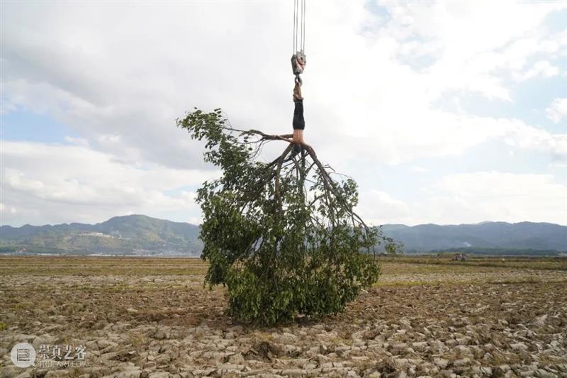 Being Theoria｜4th Hangzhou Triennial of Fiber Art 崇真艺客