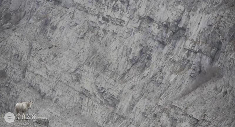 鲍里斯·米蒂奇：生命逆旅让我们更懂得珍惜生活中的平凡小事 崇真艺客