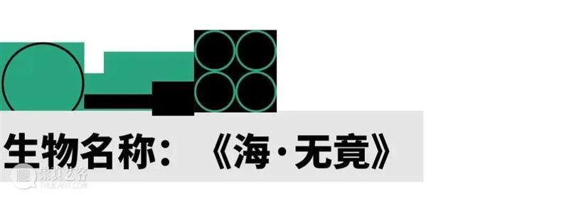 2022 蛇口戏剧节 | 神奇生物的成长报告 崇真艺客