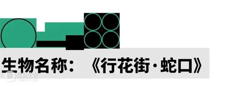 2022 蛇口戏剧节 | 神奇生物的成长报告 崇真艺客