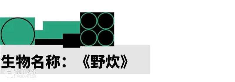 2022 蛇口戏剧节 | 神奇生物的成长报告 崇真艺客