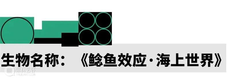 2022 蛇口戏剧节 | 神奇生物的成长报告 崇真艺客
