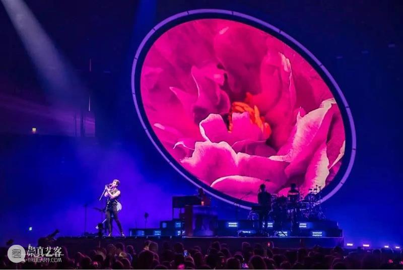 舞台丨《Shawn Mendes: The Tour》巡演：一朵开遍全球的玫瑰花 视频资讯 CISD 崇真艺客