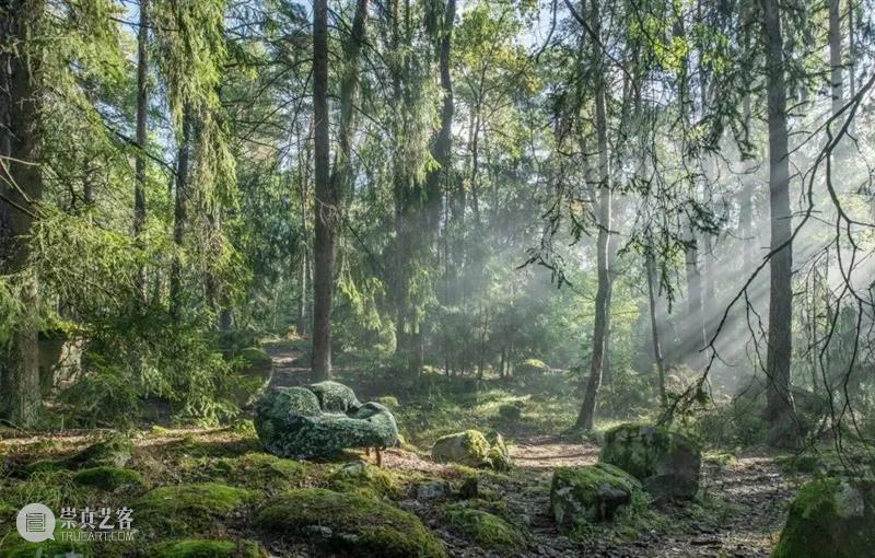 设计未来丨释放“亲生物设计”的自然想象 崇真艺客