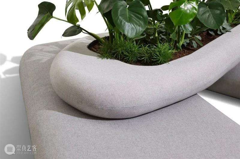 设计未来丨释放“亲生物设计”的自然想象 崇真艺客