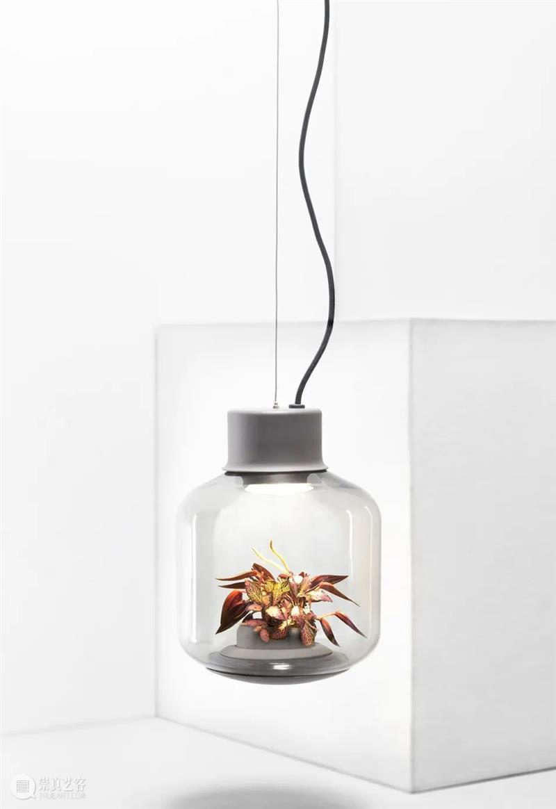 设计未来丨释放“亲生物设计”的自然想象 崇真艺客