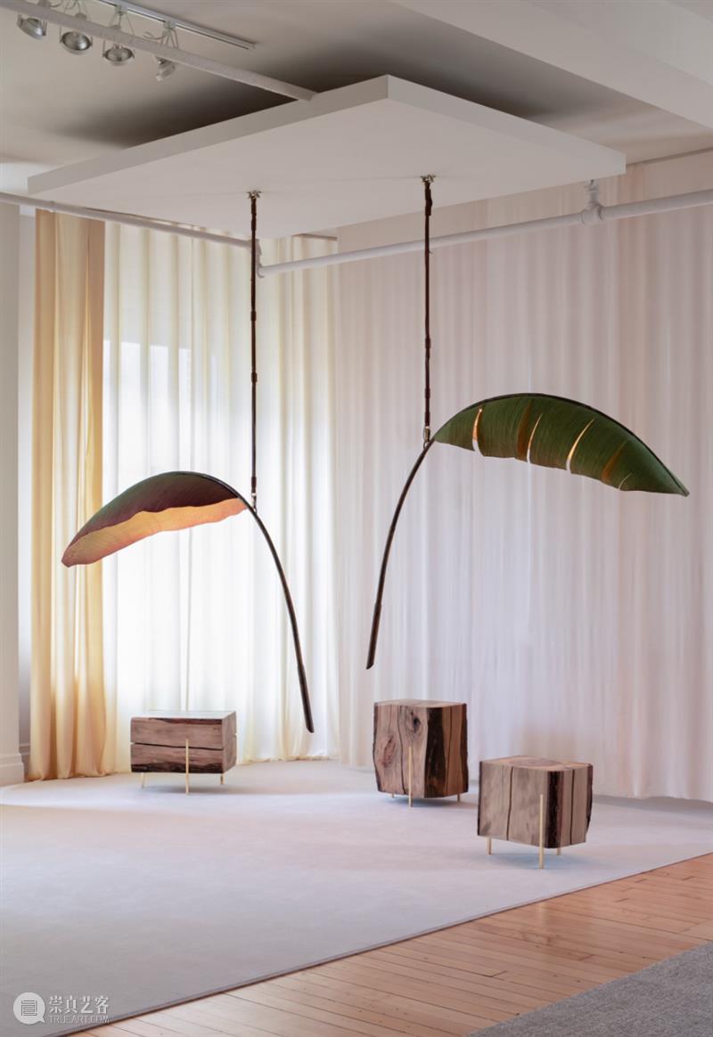 设计未来丨释放“亲生物设计”的自然想象 崇真艺客