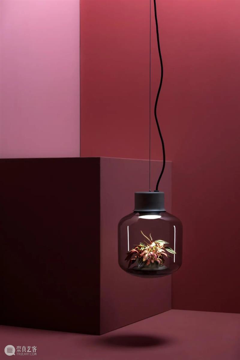 设计未来丨释放“亲生物设计”的自然想象 崇真艺客