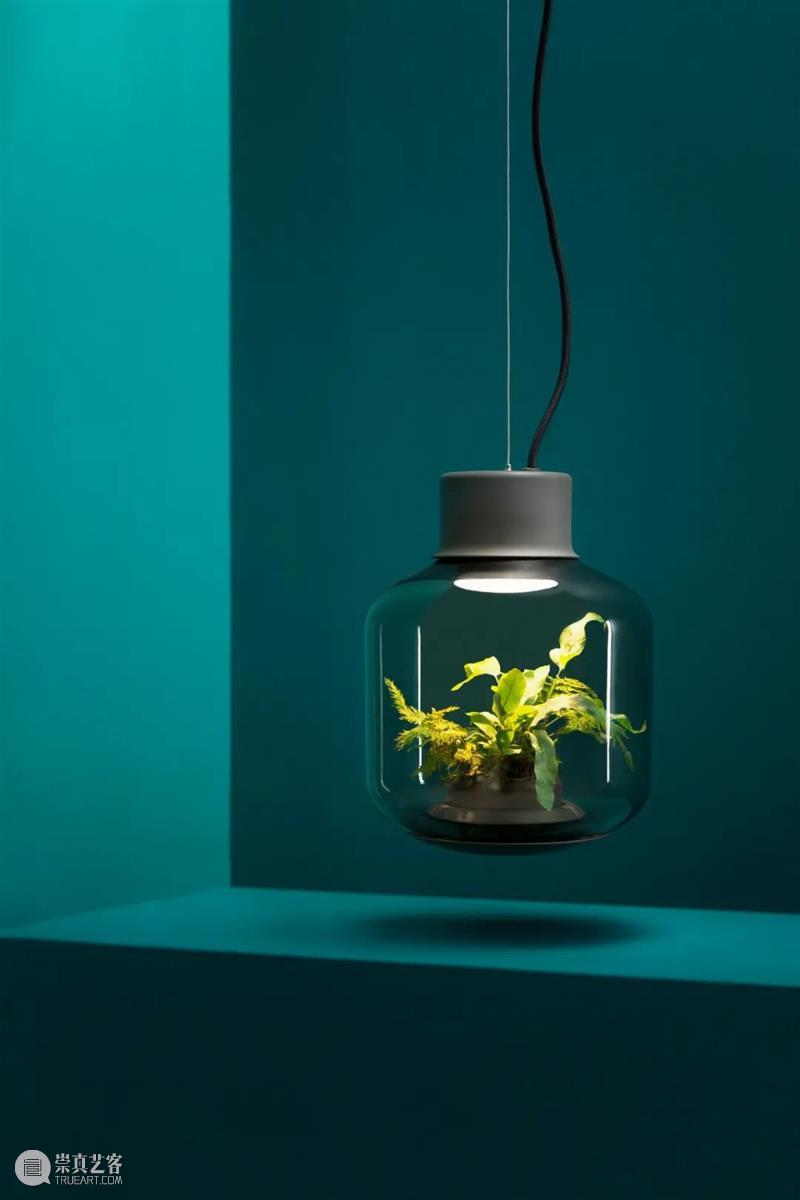 设计未来丨释放“亲生物设计”的自然想象 崇真艺客