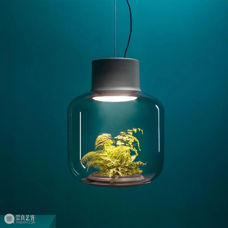 设计未来丨释放“亲生物设计”的自然想象 崇真艺客