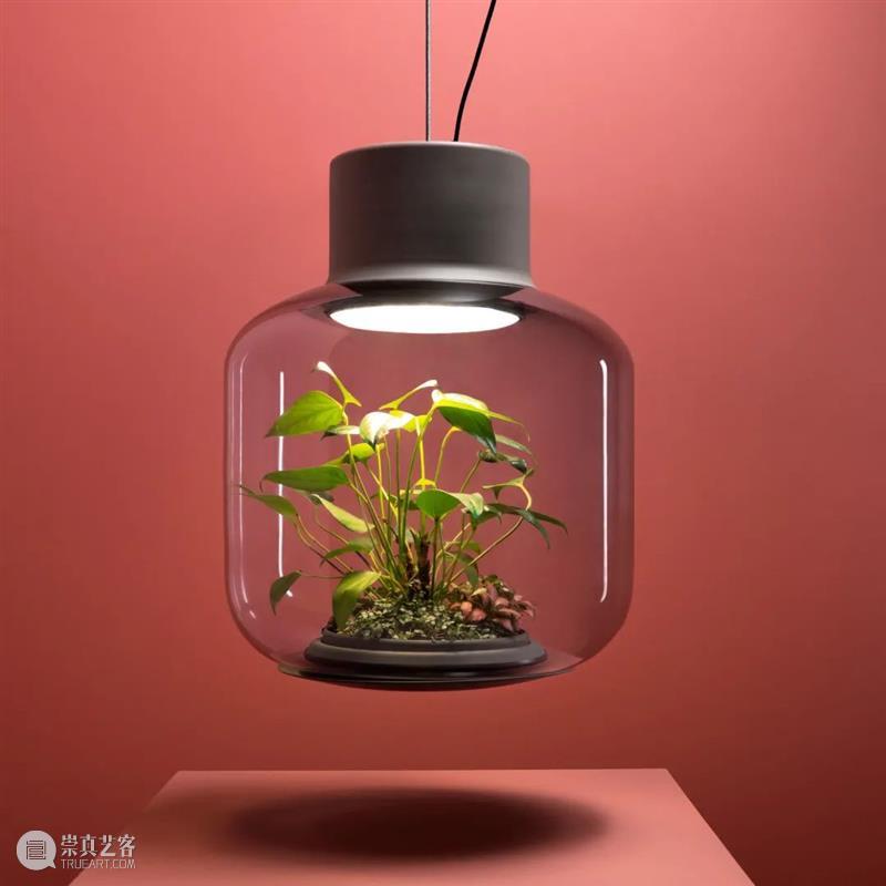 设计未来丨释放“亲生物设计”的自然想象 崇真艺客