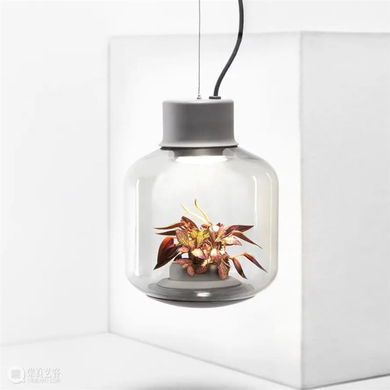 设计未来丨释放“亲生物设计”的自然想象 崇真艺客