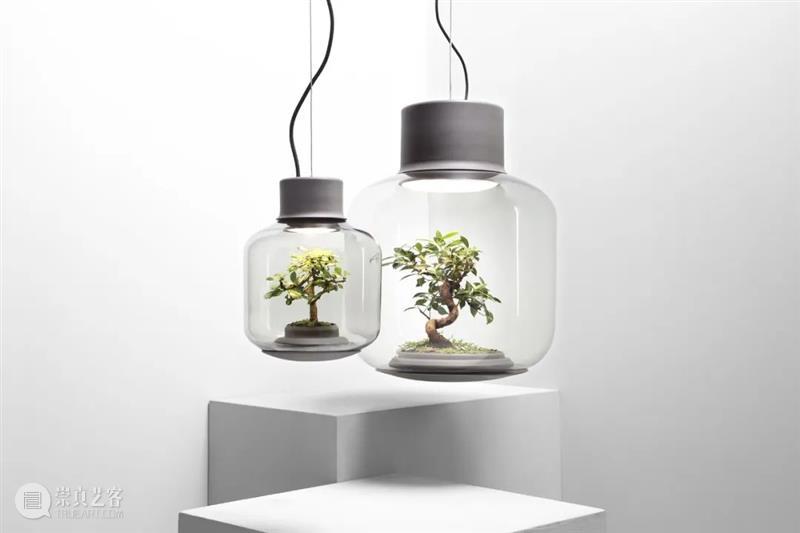 设计未来丨释放“亲生物设计”的自然想象 崇真艺客