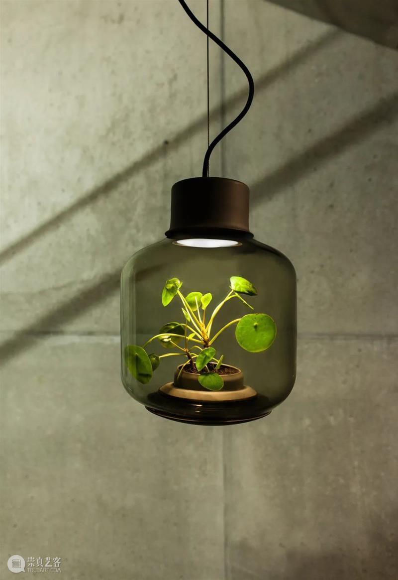 设计未来丨释放“亲生物设计”的自然想象 崇真艺客