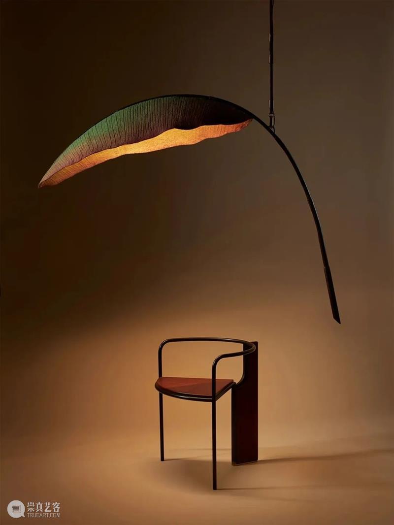 设计未来丨释放“亲生物设计”的自然想象 崇真艺客