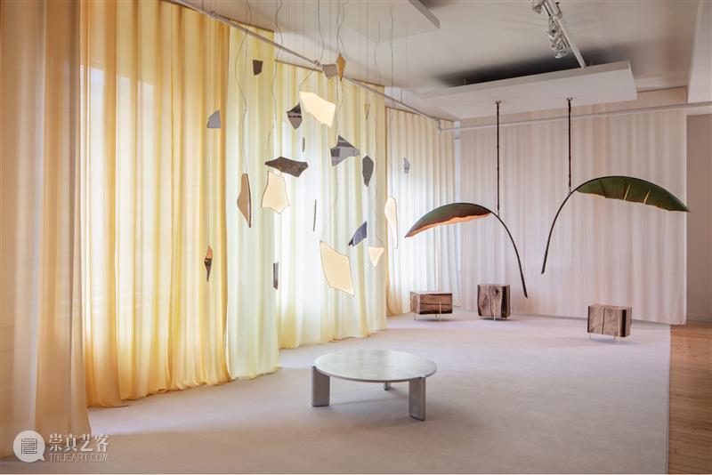 设计未来丨释放“亲生物设计”的自然想象 崇真艺客