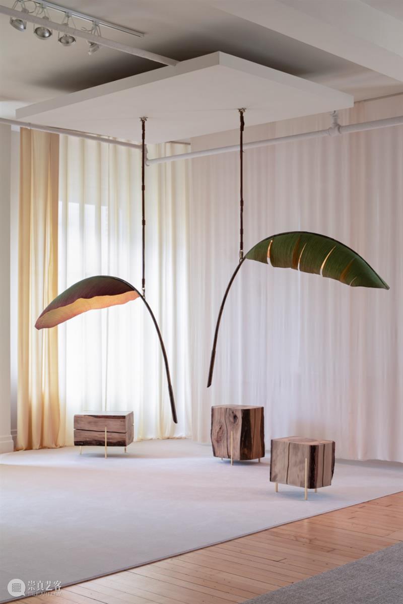 设计未来丨释放“亲生物设计”的自然想象 崇真艺客