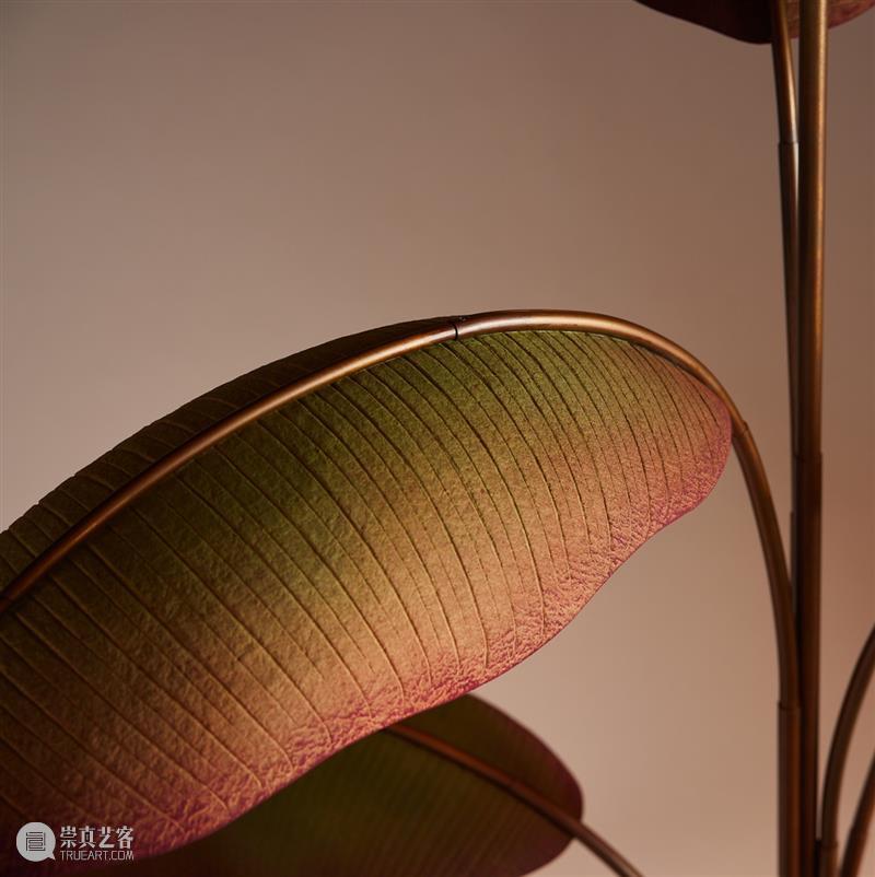 设计未来丨释放“亲生物设计”的自然想象 崇真艺客