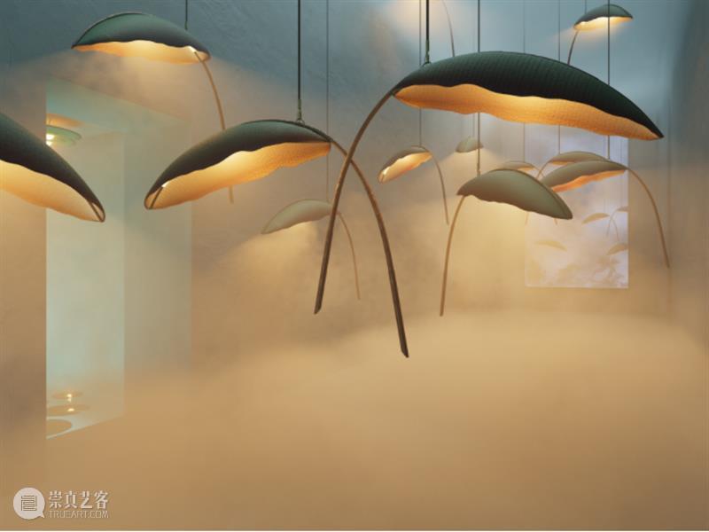 设计未来丨释放“亲生物设计”的自然想象 崇真艺客